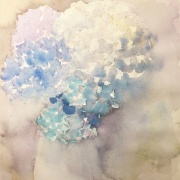 梅雨の終わりに滑り込みセーフで紫陽花を描く : 水彩的生活KUROKAWAの