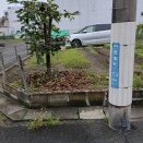 西高 in 西高