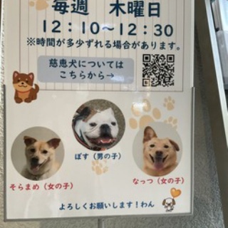 ユキだるまのつぶやき