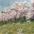 後楽園桜祭り