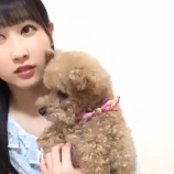 『[動画]2019.04.21（22:33～） SHOWROOM　「=LOVE(イコールラブ) 山本杏奈」＠個人配信』の画像