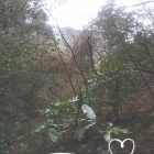 『まいこの写メ日記』の画像