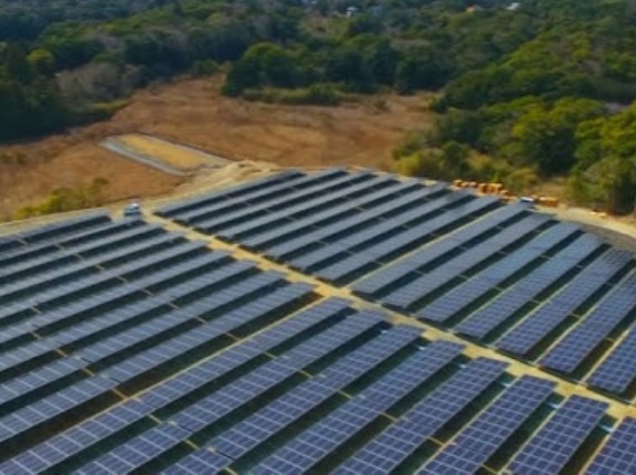 【朗報】政府、新規メガソーラー支援廃止へ