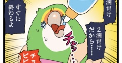 【鳥さんのお薬】はじめて点眼タイプのお薬をあげた