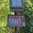我慢できない気温 ＆ 8月の家計