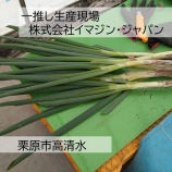 『 一推し生産現場「株式会社イマジン・ジャパン」』の画像