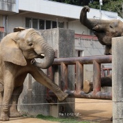 仲良し姉妹の朝のスキンシップ