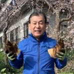 日刊りゅうすけ(静岡県富士宮市）