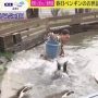 オードリー春日さんがペンギン池に落下した問題について、那須どうぶつ王国が本人らからの謝罪があったことを報告 「当園はSNS等で個人への誹謗中傷は望んでいない」