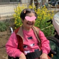春の兆し🌸