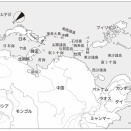 2617　『エブリシング・バブル終わりと始まり』