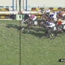 【競馬】フラワーCは原騎乗のスマートプリエールがV