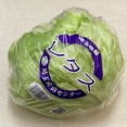 埼玉産直センター『埼玉県産レタス』。［26.04.11.Sat.］