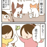 甥っ子猫に会ってきた③