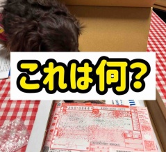 世の中便利になったもんだ。