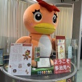 🍵多治見のまち歩きはここから！陶都創造館・多治見市PRセンターで“うながっぱ”に会ってきました（岐阜県多治見市）