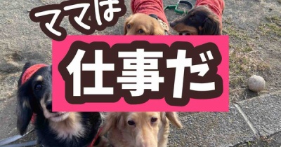 今日もまた父子家庭。