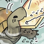 かめかめ日記