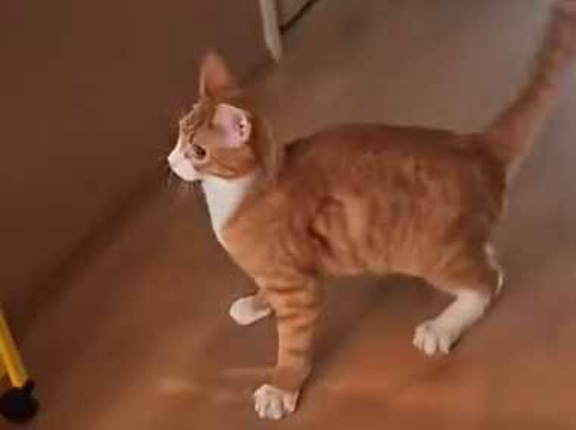 彼女が出かけようとしていた。あ、今日はこの服じゃない！ → 彼女、素早く着替えます…