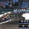 【甲子園】北海は7年ぶり8強ならず…南北海道勢の甲子園100勝も持ち越し
