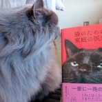 トポハナれんらくちょう！