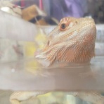 ひだまりの中で