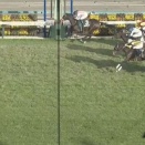 【競馬】中山牝馬Sは武藤騎乗のエセルフリーダがV