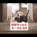 ばあちゃんとミーコとコロ