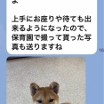 幸せを掴んだ子供達🩷🐶🩷
