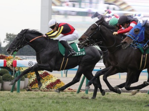 【きさらぎ賞】１番人気ゾロアストロがインからアタマ差抜け出しＶ！重賞初制覇