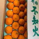 明日（火）の予告 (^^)