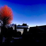 『判断基準は外見？それとも中身？　vol.2810』の画像