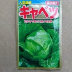 自然農菜園「はたけや」の作業日誌