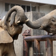 仲良し姉妹の朝のスキンシップ