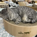 あさみ写真館