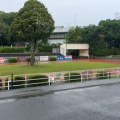 2026年一人旅打ちまとめ　競馬編🐴