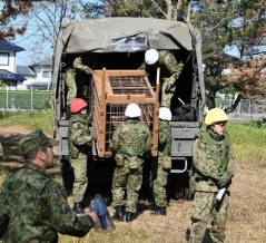 結局、軍を投入した日本…6ヶ月間で6063匹ものクマを捕獲＝韓国の反応
