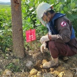 『地雷・不発弾の回収』の画像