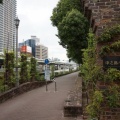 バラ園と東洋陶磁美術館（中之島）