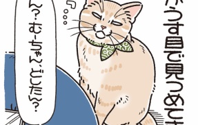 目と目で通じ合う…