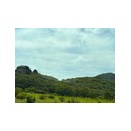 榛名山①ゆうすげの道