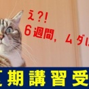 え？！６週間，ムダにする気？