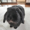ぜんぶ可愛い。