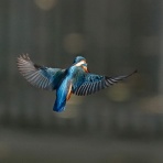 tamsan'sリストア2