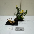 芦屋市民ギャラリー展2026
