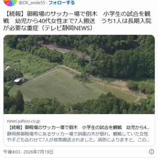 痛いニュース(ﾉ∀`)