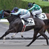 『フェデルミエールが2連勝！』の画像