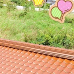 戦いすんで日は暮れて　～アラフィフゲイの田園life　ときどき婚活(？)