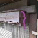 こっこ🐔🐔🐔　５歳３か月目【また一羽・・・】