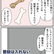 愛犬ティアラの手術記録⑤予想外のこと